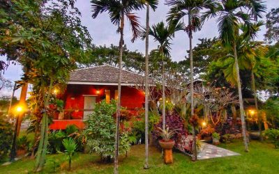 Discover a Peaceful Stay at Homestay Yuva – A Unique Homestay in Chiang Mai