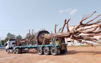 บริการรถเทรลเลอร์กรุงเทพ สำคัญอย่างไรกับงานขนส่งเครื่องจักรและอุปกรณ์อุตสาหกรรม