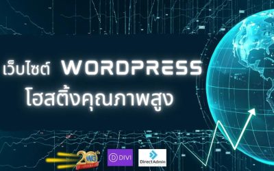 ทำเว็บไซต์ WordPress ให้พร้อมสำหรับ SEO เพิ่มโอกาสให้ธุรกิจถูกค้นพบผ่าน Google