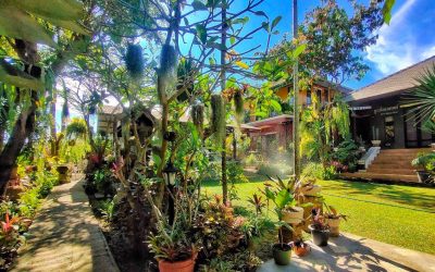 Homestay in Chiang Mai Guide – How to Choose a Local Stay for an Authentic Chiang Mai Experience