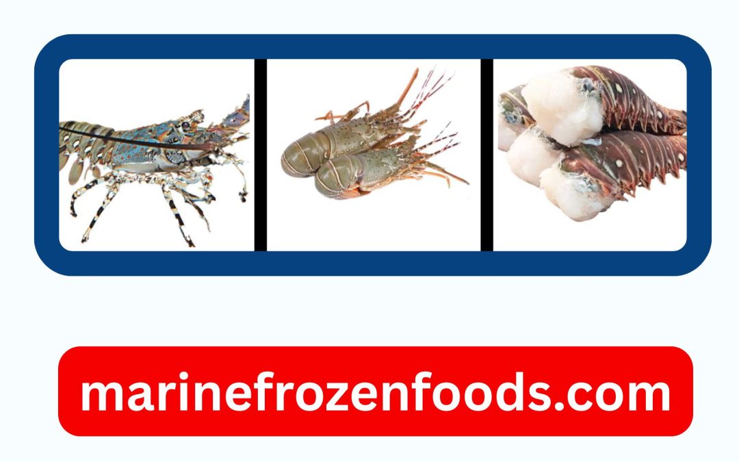 Wholesale Frozen Tilapia4