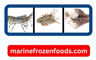 Wholesale Frozen Tilapia from Thailand: Quality, Processing and Export Considerations
