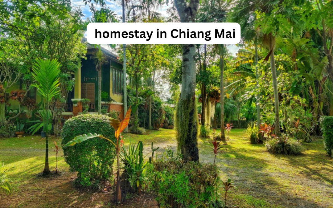 homestay in Chiang Mai0810